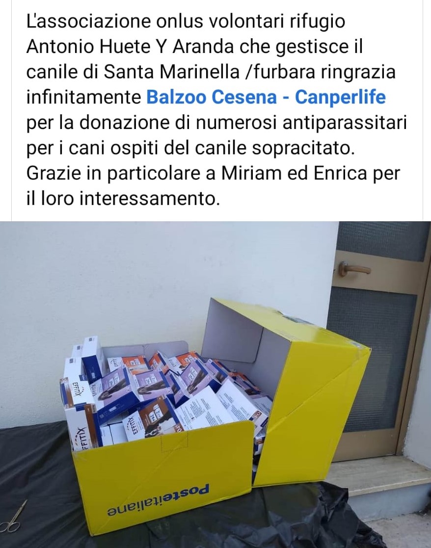 BALZOO CESENA - CANPERLIFE 1